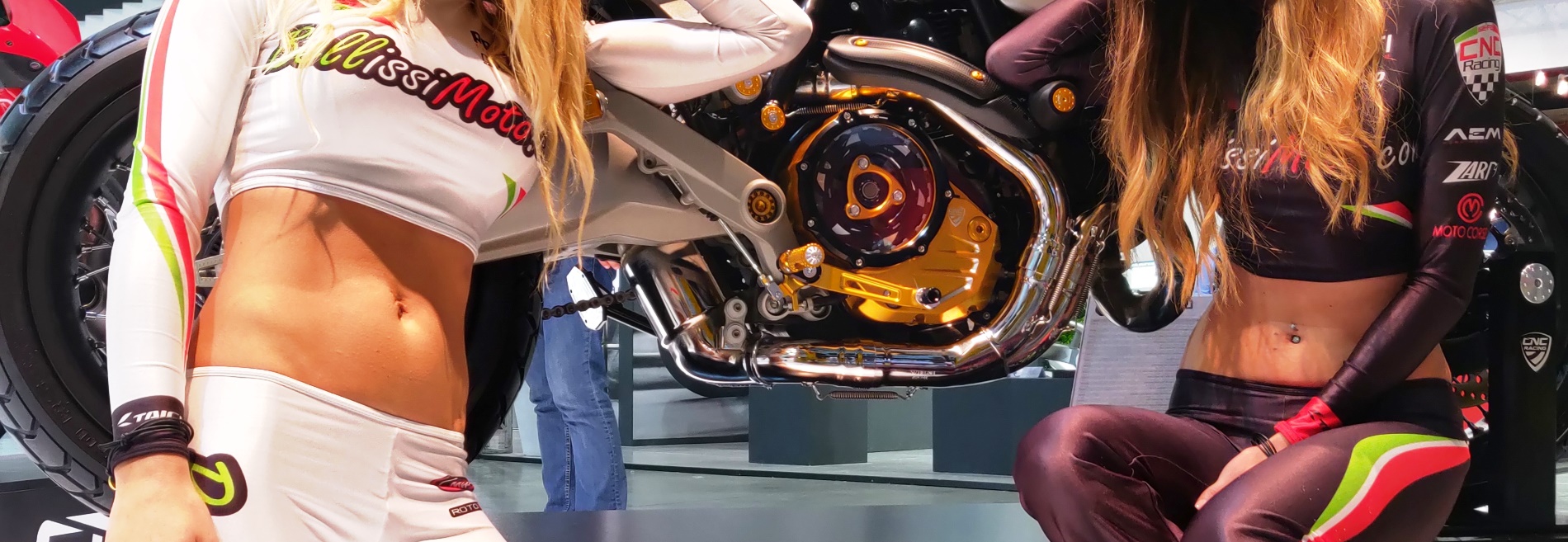ducati scrambler clutch cover
